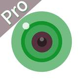 iCSee Pro 1.5.45Beta GP