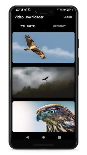 V Downloader 6 تصوير الشاشة