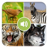 Real Animal Sounds icon