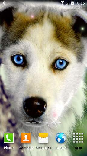 Dogs Wallpaper screenshot 1