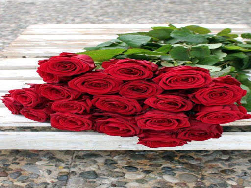 3D Red Rose Images 2020 8 تصوير الشاشة