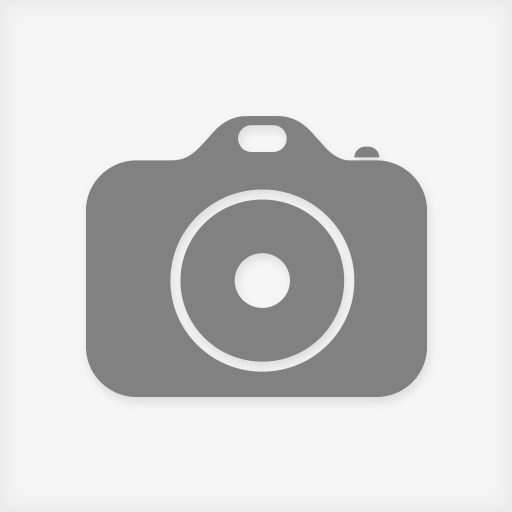 iCamera Plus - a pro camera style like OS12 icon