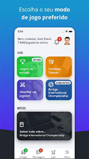 Fun Bridge screenshot 4