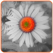 Jethalal Selfie Photo Editor icon