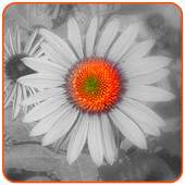 Jethalal Selfie Photo Editor 1.0.0