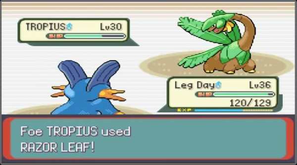 Guide for Pokemon emerald GBA screenshot 3