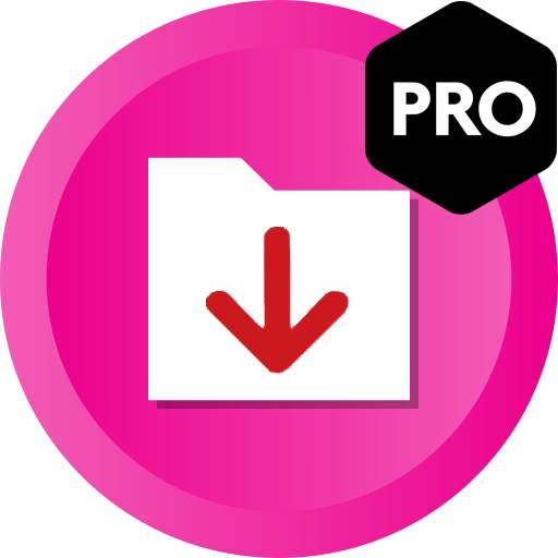 All Video Downloader 4