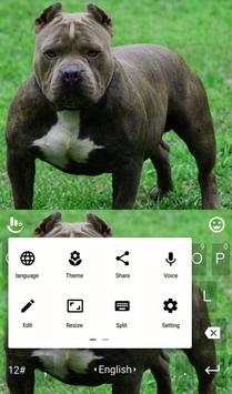 New Pitbull Keyboard Theme screenshot 2