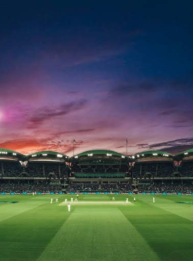Best Cricket Prediction screenshot 1