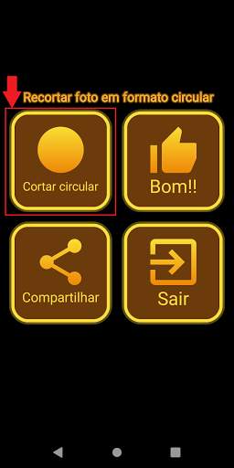Recortar foto em formato circular screenshot 1