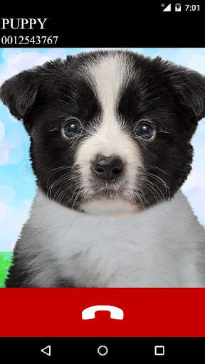 fake call puppy game screenshot 3