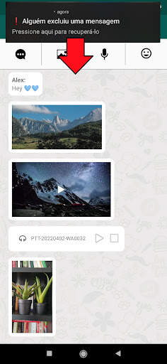 Mensagens voz. Mudar & baixar screenshot 2