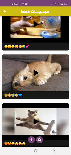 Funny’s video for cats screenshot 2