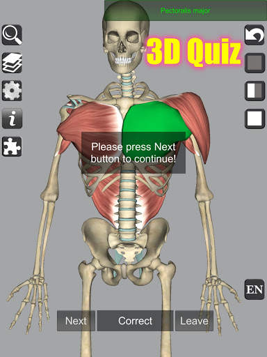 3D Bones and Organs (Anatomy) screenshot 14