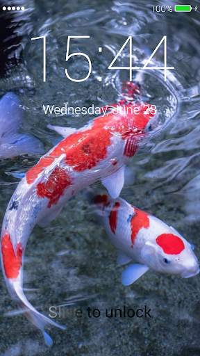 Koi Fish Lock Screen for Huawei screenshot 2