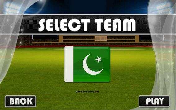 T20 Cricket World Cup Game screenshot 1