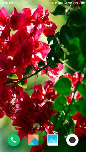 Flower Tree Wallpaper screenshot 6