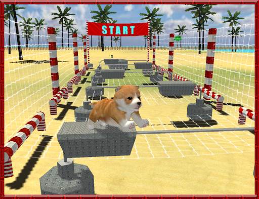 Cat Dog Pets Beach Stunts Sim screenshot 14
