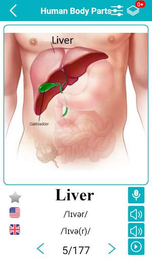 Body Parts Name and Pictures screenshot 7