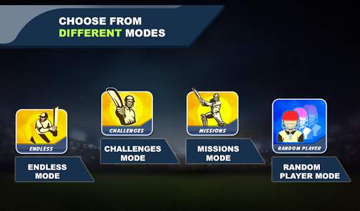 Cricket Champions screenshot 7