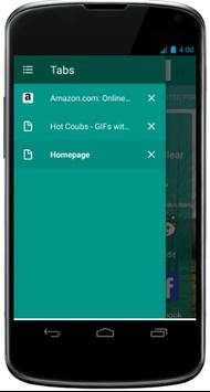 Internet Web Browser LLC screenshot 1