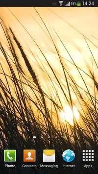 Grass Live Wallpaper HD screenshot 8