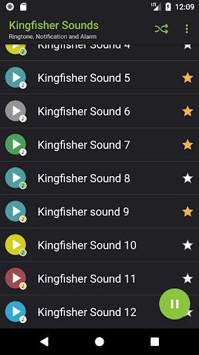 Appp.io - Kingfisher bird sounds screenshot 2