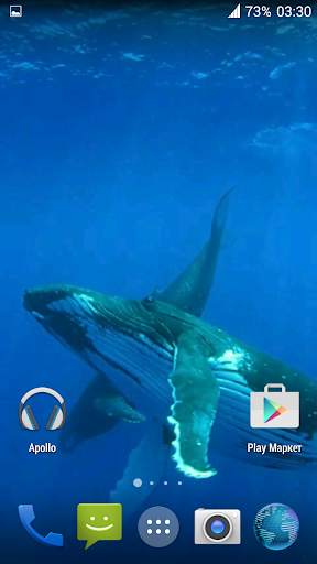 Whale 3D. Video wallpaper screenshot 2