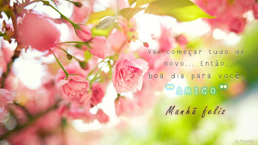 Imagens com Frases de Bom Dia Amor screenshot 2