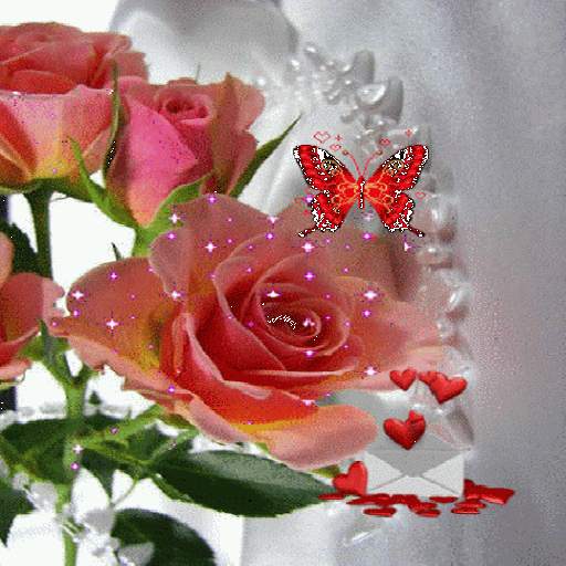Pink Rose Butterfly LWP 3