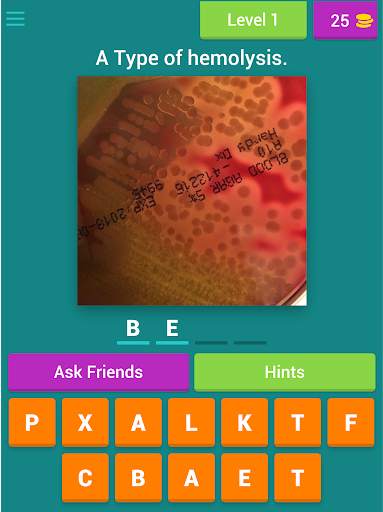Microbiology quiz; plate reading app. screenshot 20
