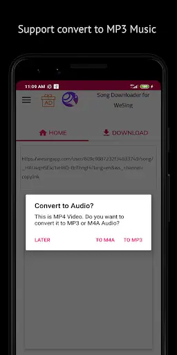 Song Downloader for WeSong screenshot 2