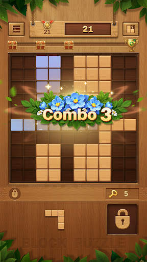 Wood Block Puzzle - Block Game screenshot 3