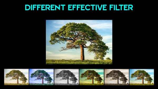 Photo Video Maker with Song screenshot 4
