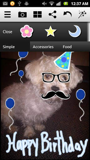Photo Fun! screenshot 2
