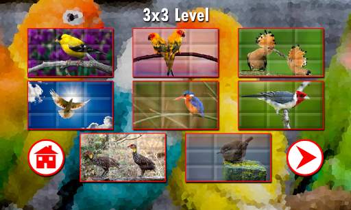 Birds Puzzles screenshot 4