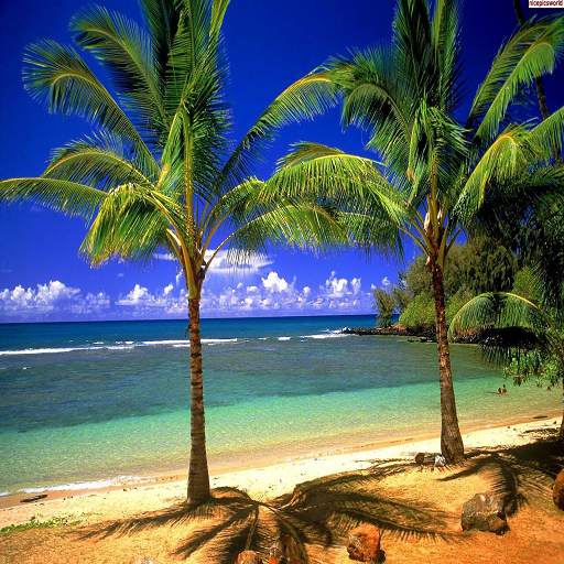 Hd Nature Wallpaper 1.0