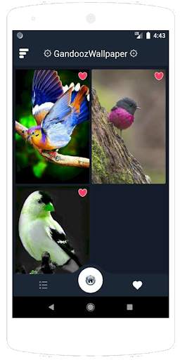 Beauty Birds Wallpaper स्क्रीनशॉट 6