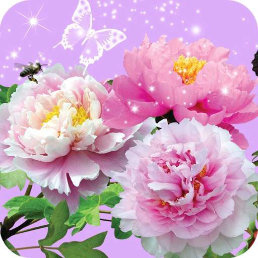 Flowers Wallpaper Best HD 1.05