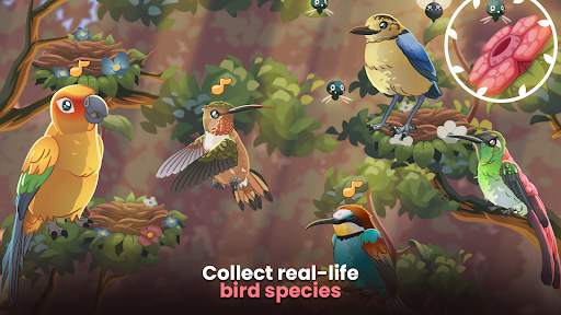 Bird Kind screenshot 3