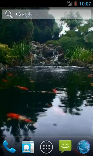 Real pond with Koi screenshot 1