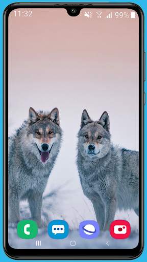 Wolf Wallpaper HD screenshot 8