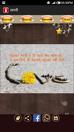 Shayari (Hindi) - शायरी screenshot 4