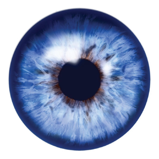 Traning for eyes icon