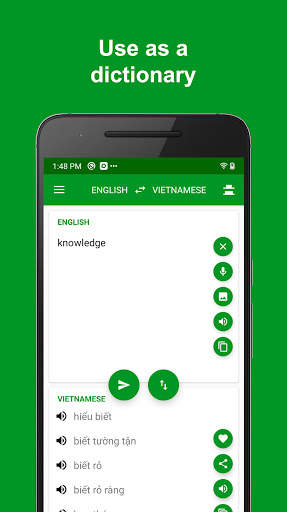 Vietnamese English Translator screenshot 6