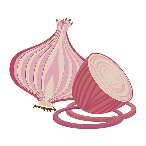 Live Onion Video Chat 2.8.6aO
