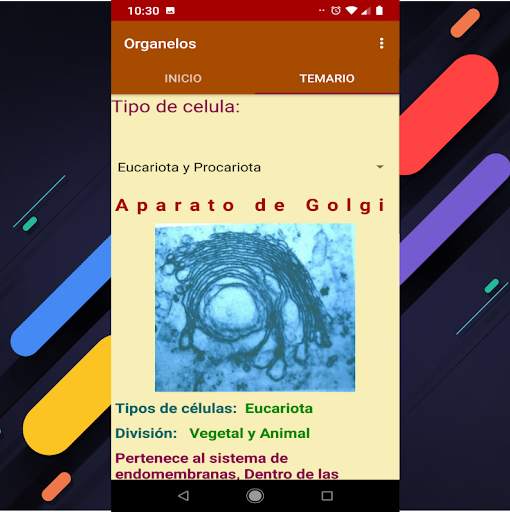 Organelos de la Celula screenshot 4