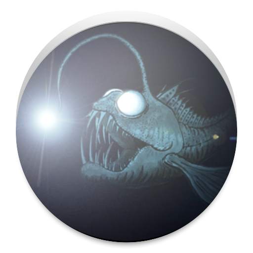 Fish FlashLight 1.0.4