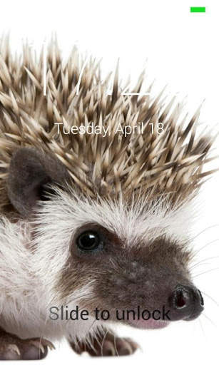 Hedgehog Lock Screen screenshot 1
