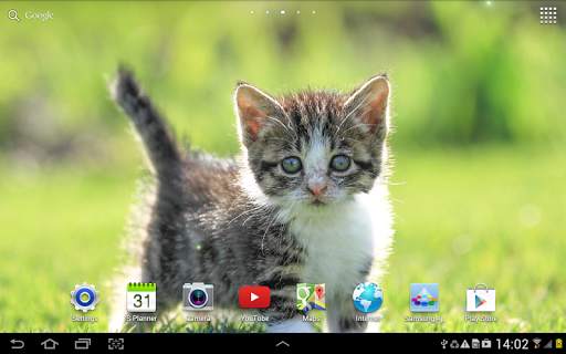 Cat Live Wallpaper screenshot 9